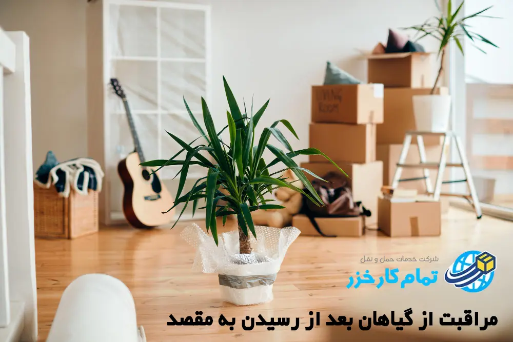 نگهداری گیاهان هنگام باربری